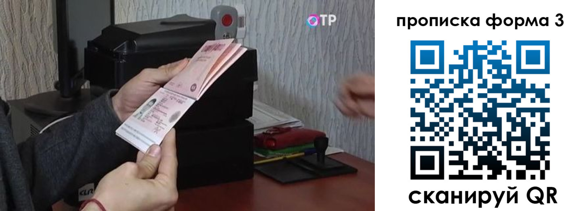 прописка иностранных граждан в Калининграде
